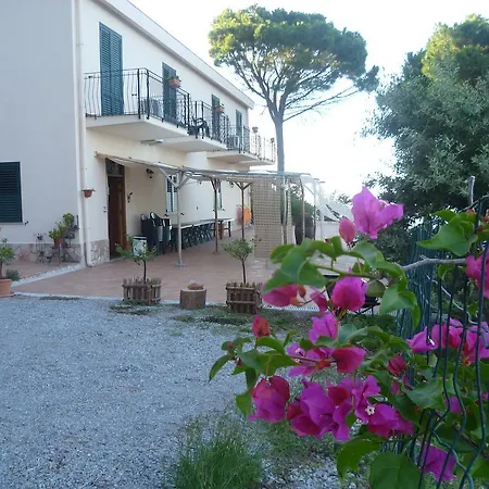 Alba Tra I Pini Cefalù