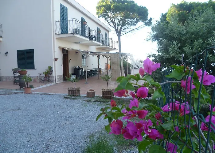 Alba Tra I Pini Cefalù