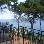 Alba Tra I Pini