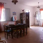 Alba Tra I Pini