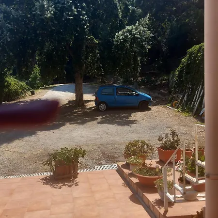 Bed & Breakfast Alba Tra I Pini Cefalù