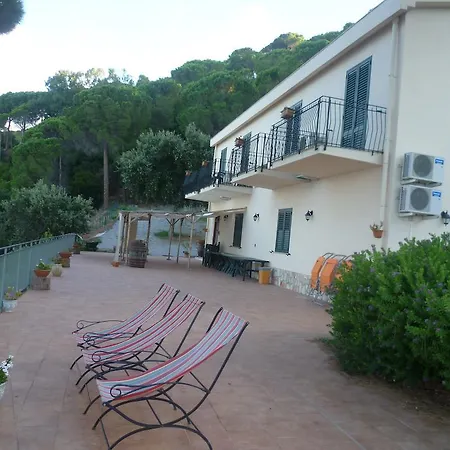 Alba Tra I Pini