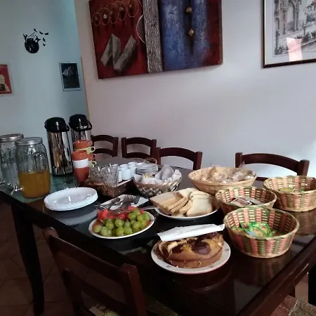 Alba Tra I Pini